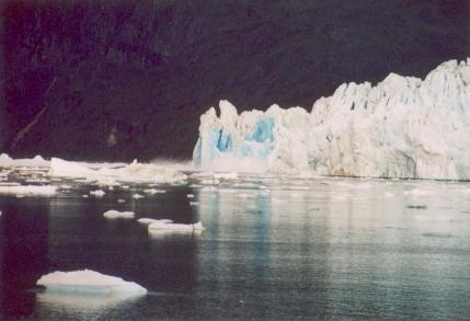 De zeearm waarin de gletsjer afbreekt.