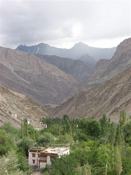 Typisch Ladakh: kale bergen en groene dorpjes