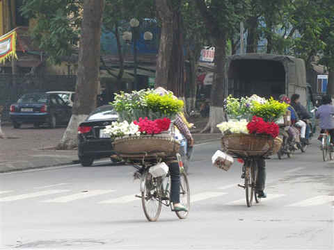 Ook een bloemenwinkel past prima op een fiets.