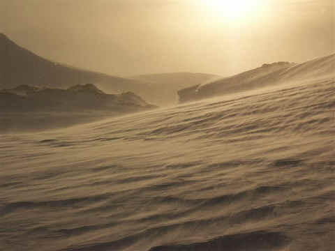 Een surrealistisch beeld zo'n sneeuwstorm met tegenlicht.