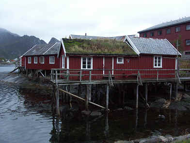 De oude vissershuisjes hebben vaak gras op het dak.