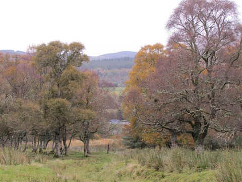 Herfstkleuren in Schotland.