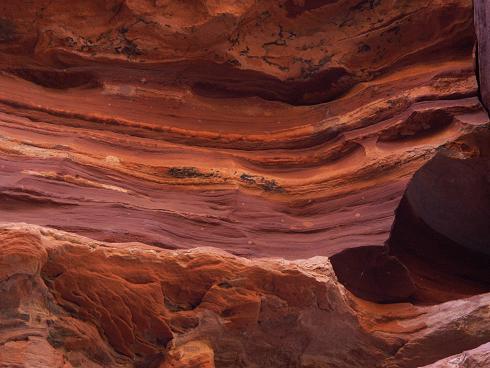 de rood gekleurde rotsen in Kalbarri National Park