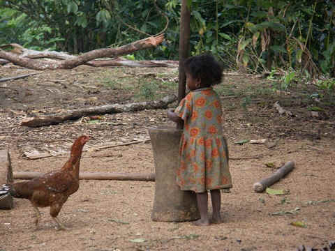 De kippen zijn soms groter dan de kinderen lijkt het wel.